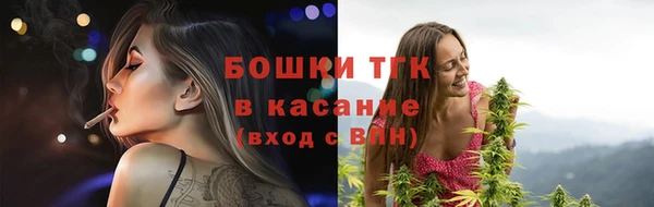 стаф Арсеньев