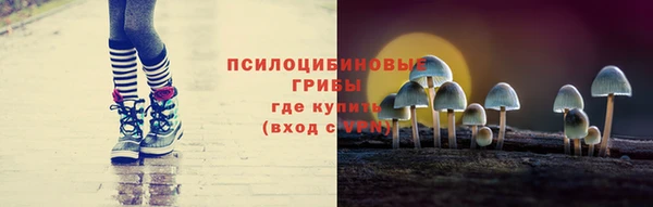 эйфоретик Аркадак