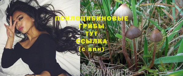 кокаин премиум Армянск