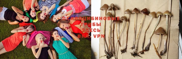 эйфоретик Аркадак