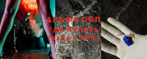 стаф Арсеньев